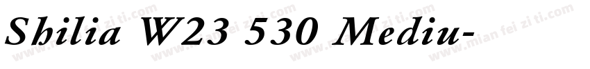Shilia W23 530 Mediu字体转换